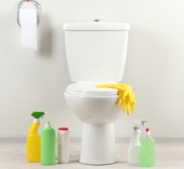 Produkte für die WC-Reinigung
